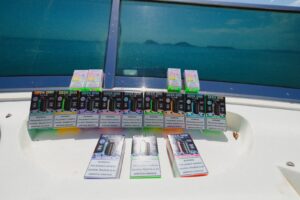 Los Mejores Aliados Logísticos para Distribuidores de Vapes en el Caribe